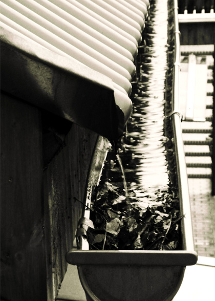 Blocked gutter filled with water and debris